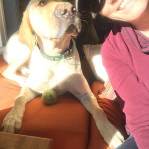 Meet your Posher, Barb